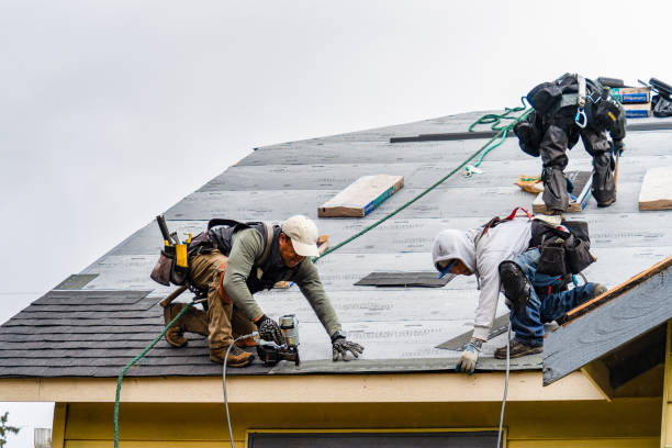 Professional Storm Damage Roof Repair technician working in Northwood, IA